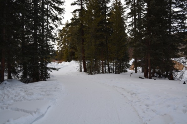 Snowshoe the Fraser River Trail